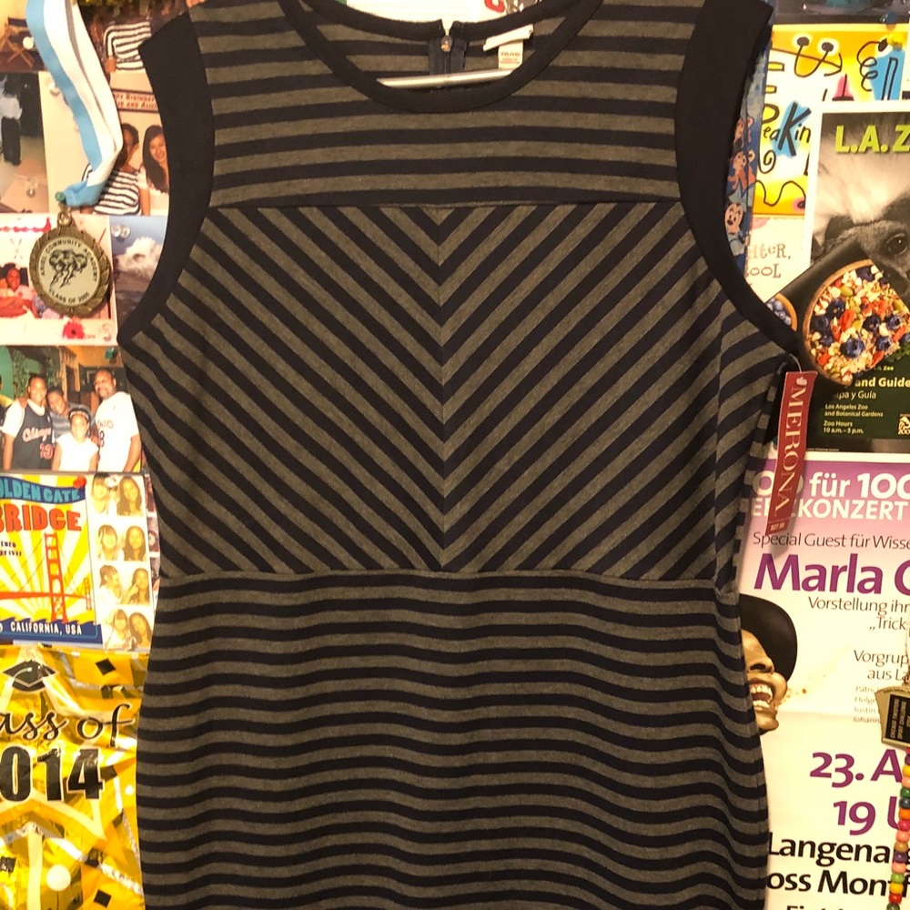 Grey and Navy Blue striped dress.